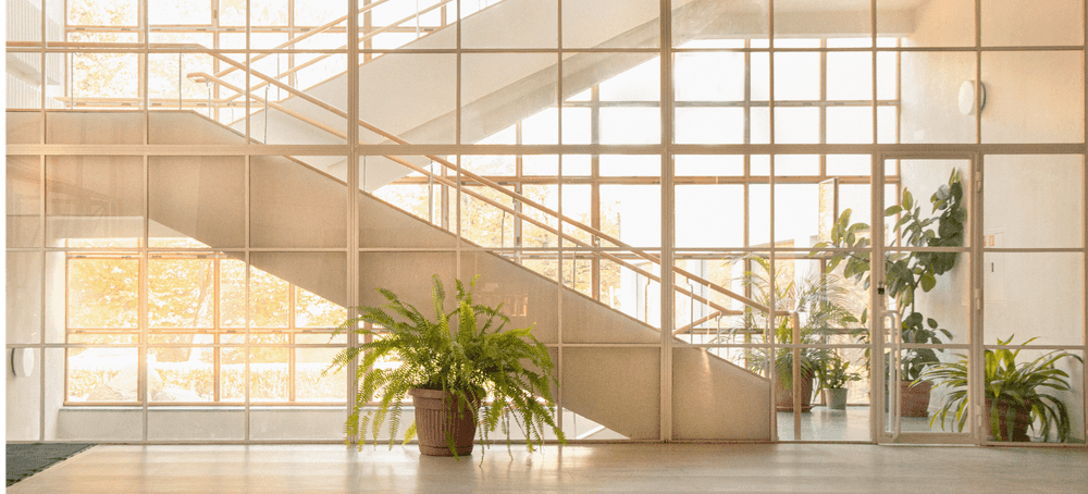 An interior staircase surrounded by plants